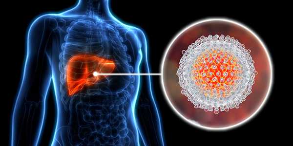 New Breakthroughs in Hepatitis C Treatment